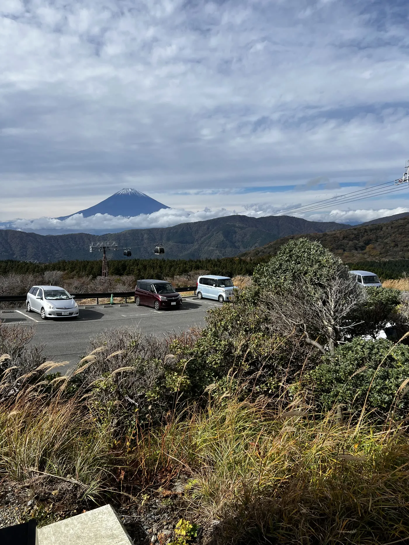 2025年社員旅行で見た箱根の景色